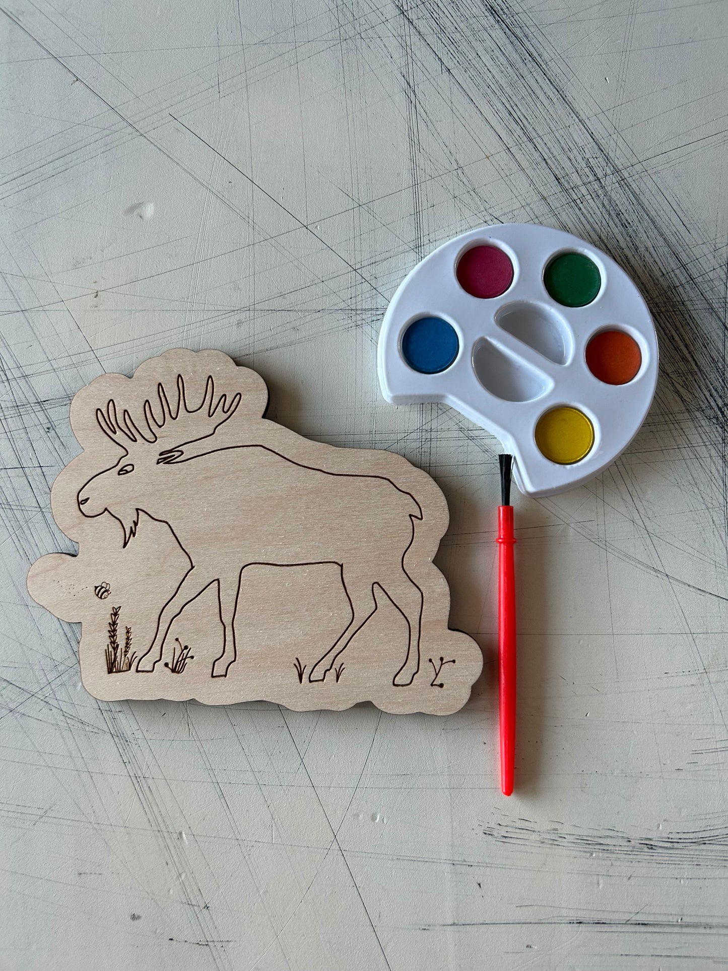 Moose Watercolor Craft Kit by Novotny Designs
