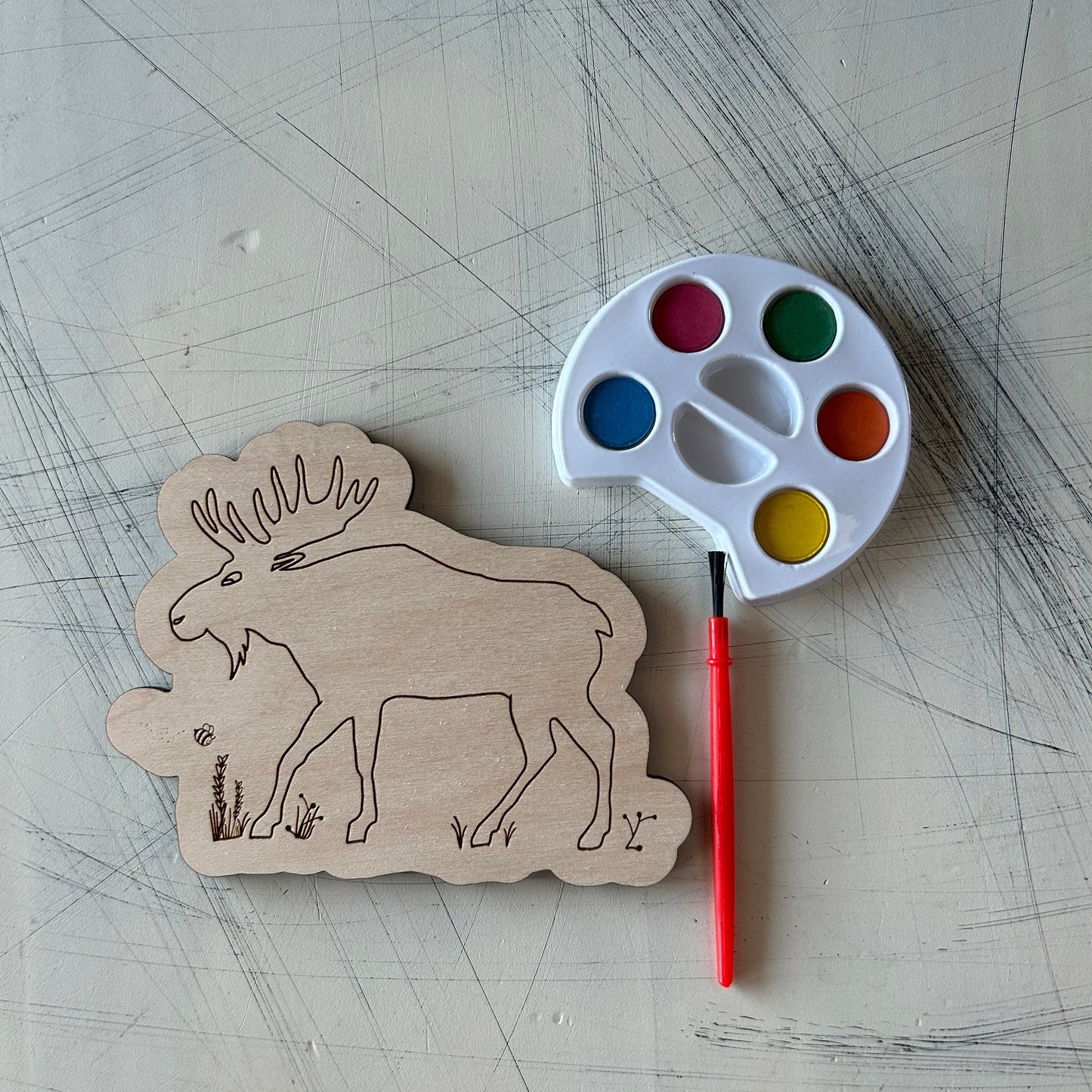 Moose Watercolor Craft Kit by Novotny Designs