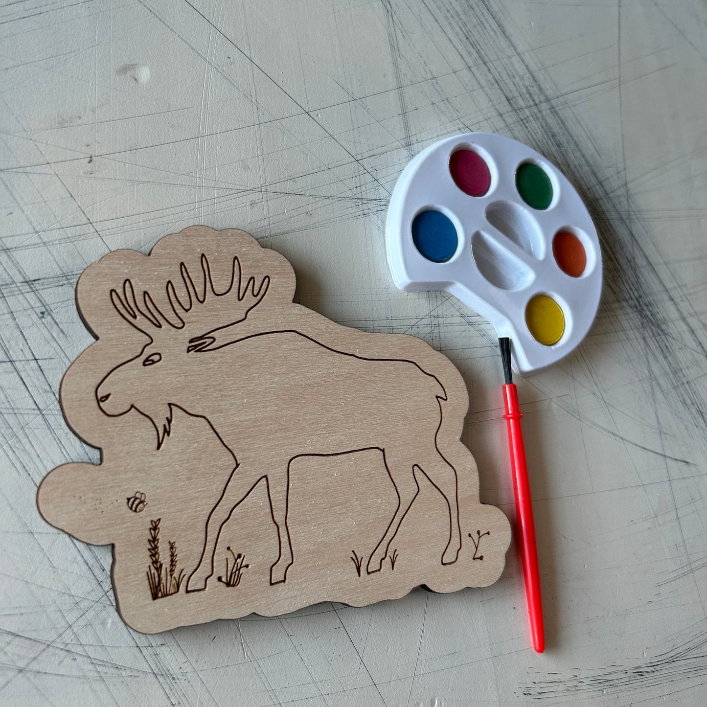 Moose Watercolor Craft Kit by Novotny Designs