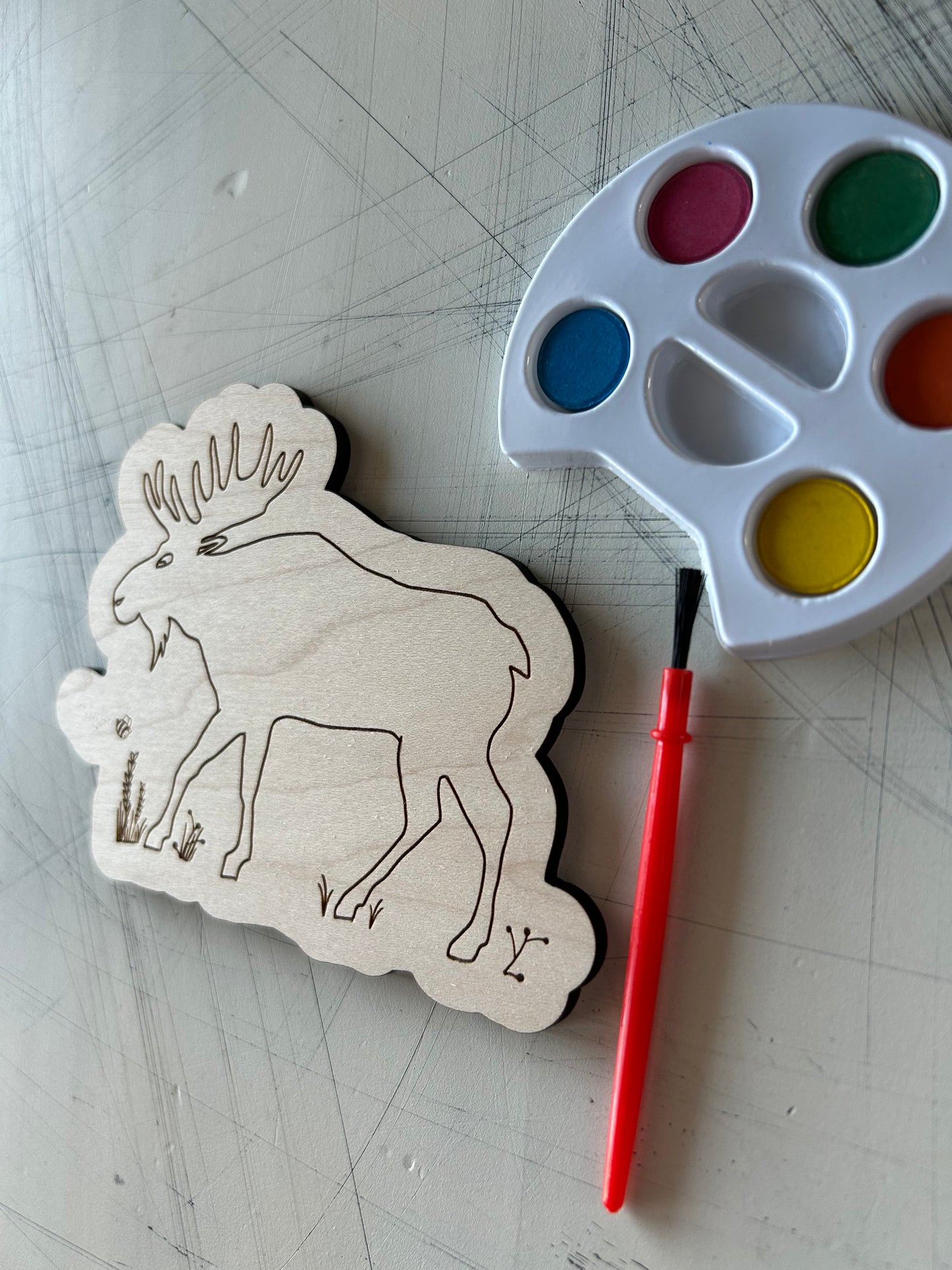 Moose Watercolor Craft Kit by Novotny Designs