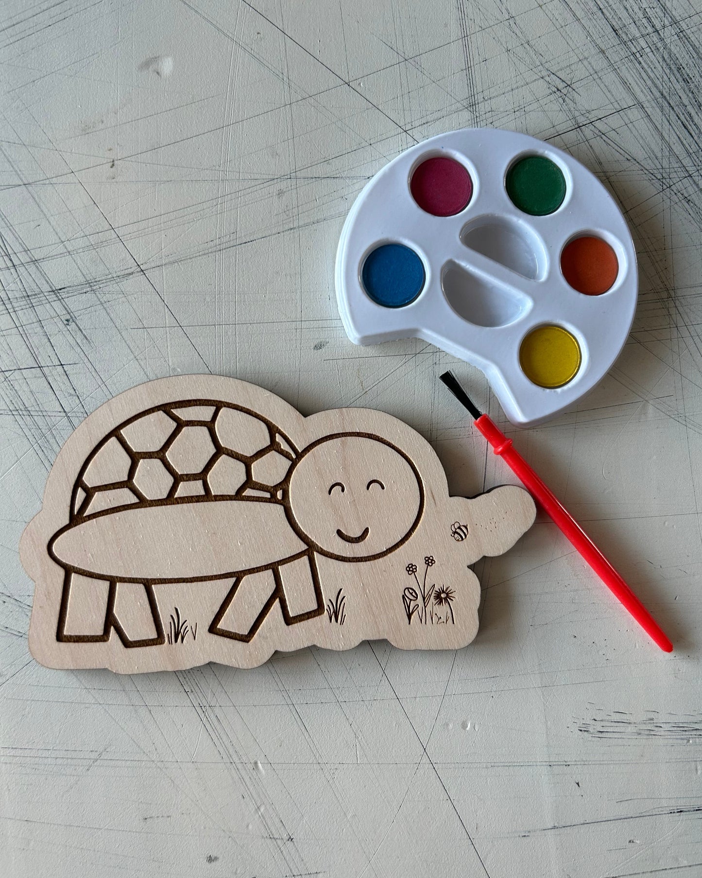 Turtle Watercolor Craft Kit by Novotny Designs