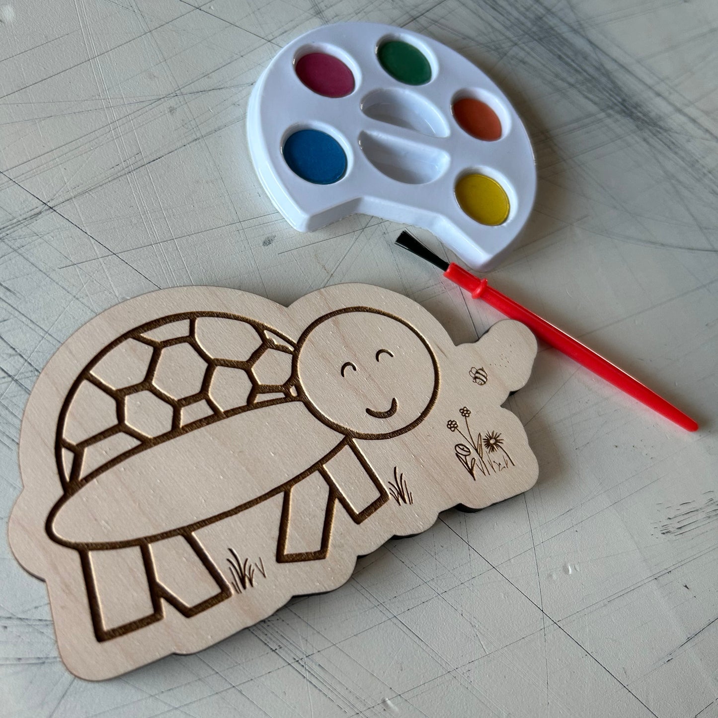 Turtle Watercolor Craft Kit by Novotny Designs