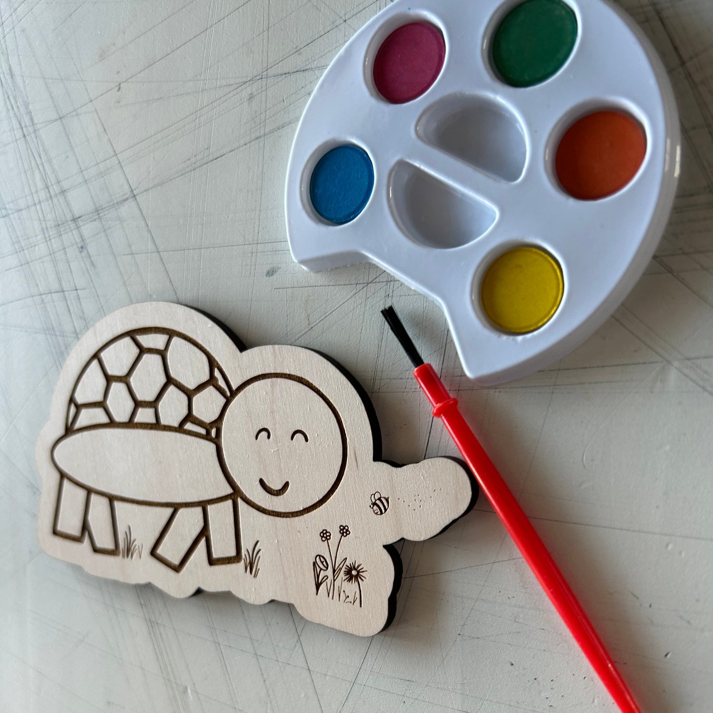 Turtle Watercolor Craft Kit by Novotny Designs