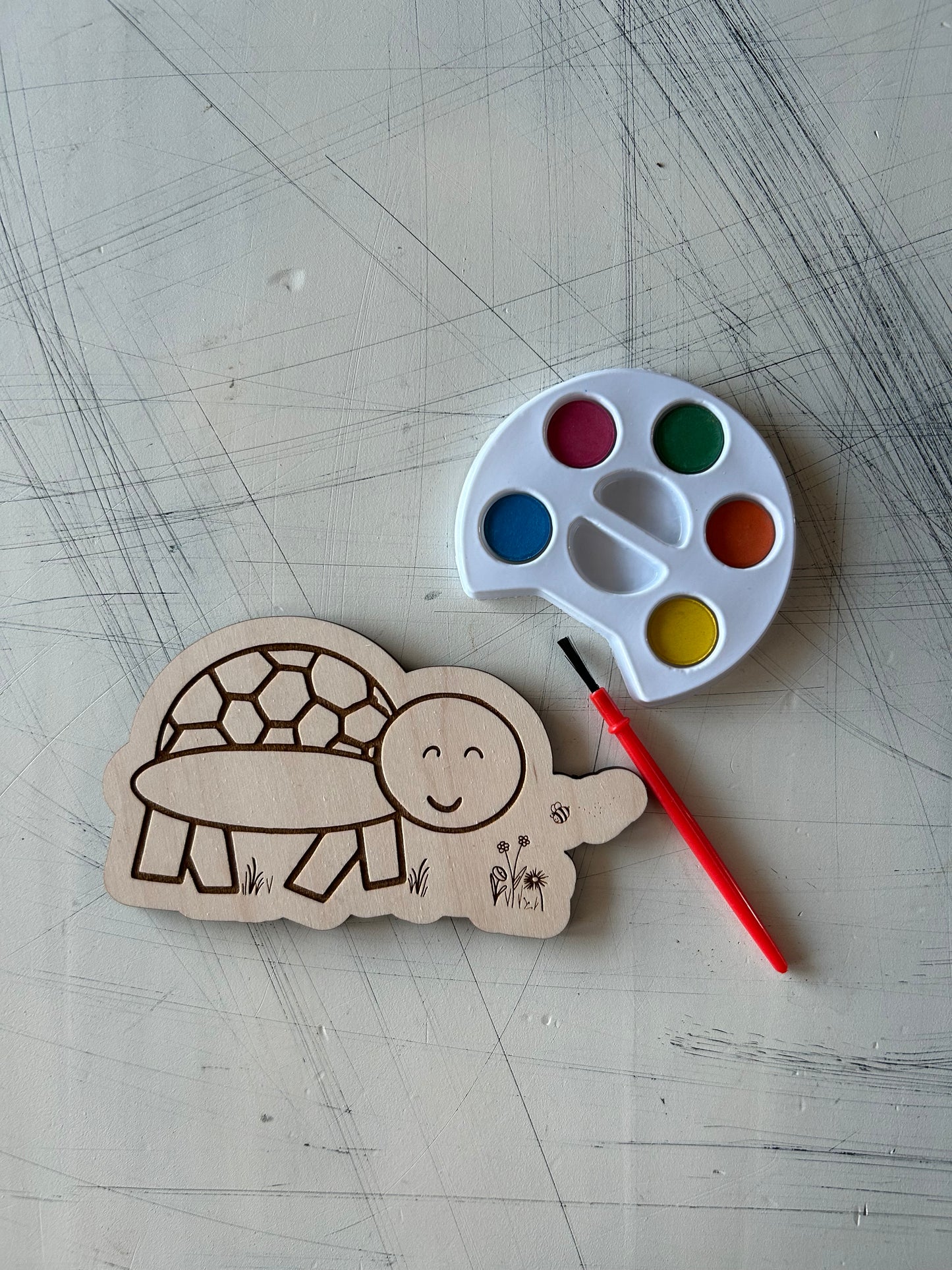 Turtle Watercolor Craft Kit