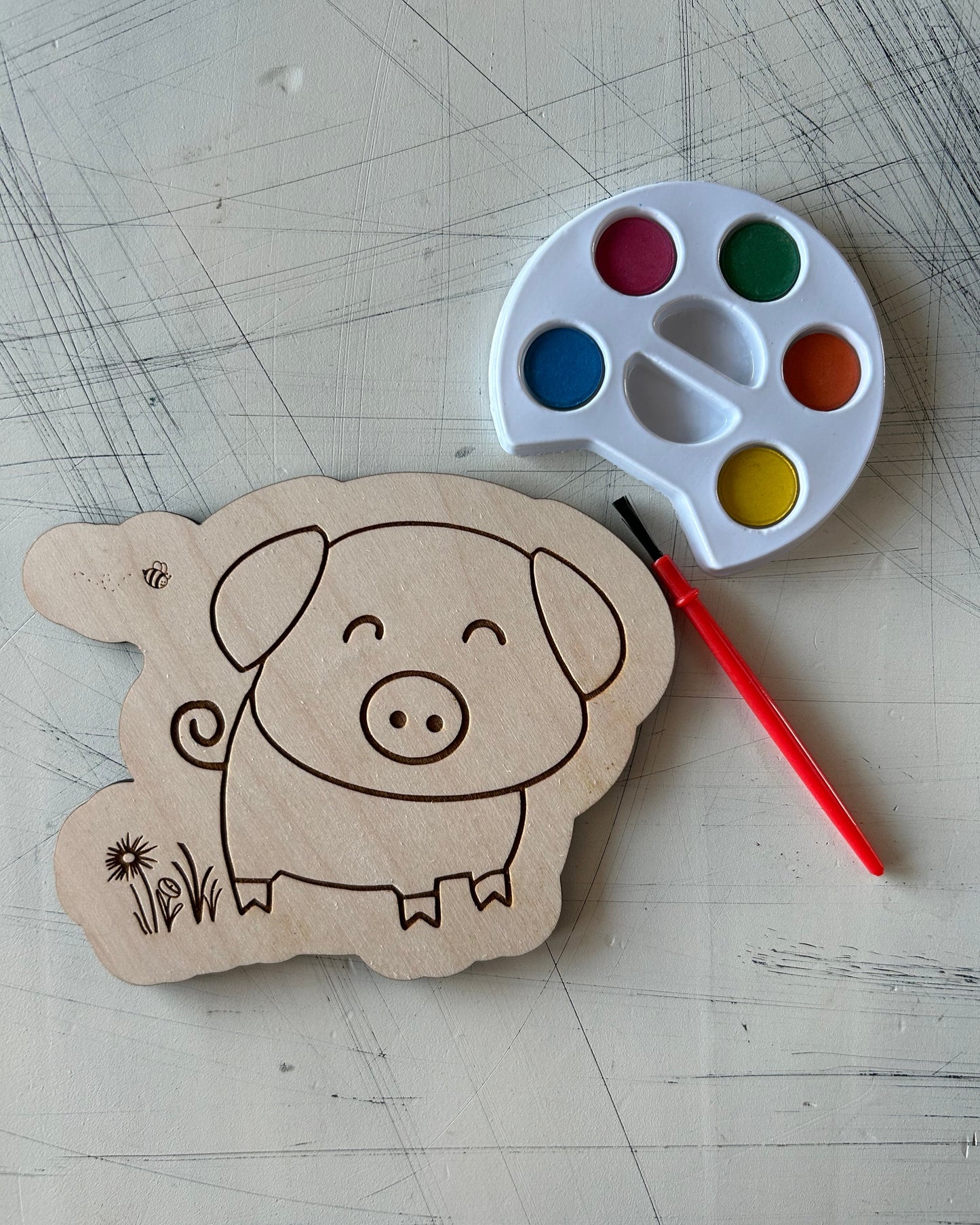 Pig Watercolor Craft Kit by Novotny Designs