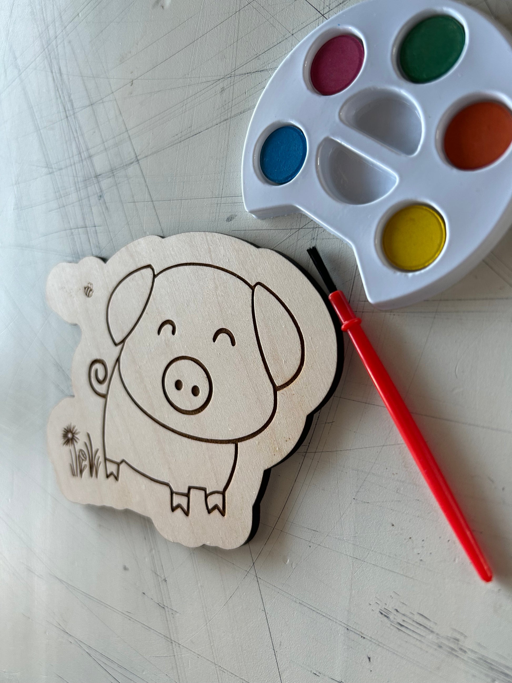 Pig Watercolor Craft Kit by Novotny Designs