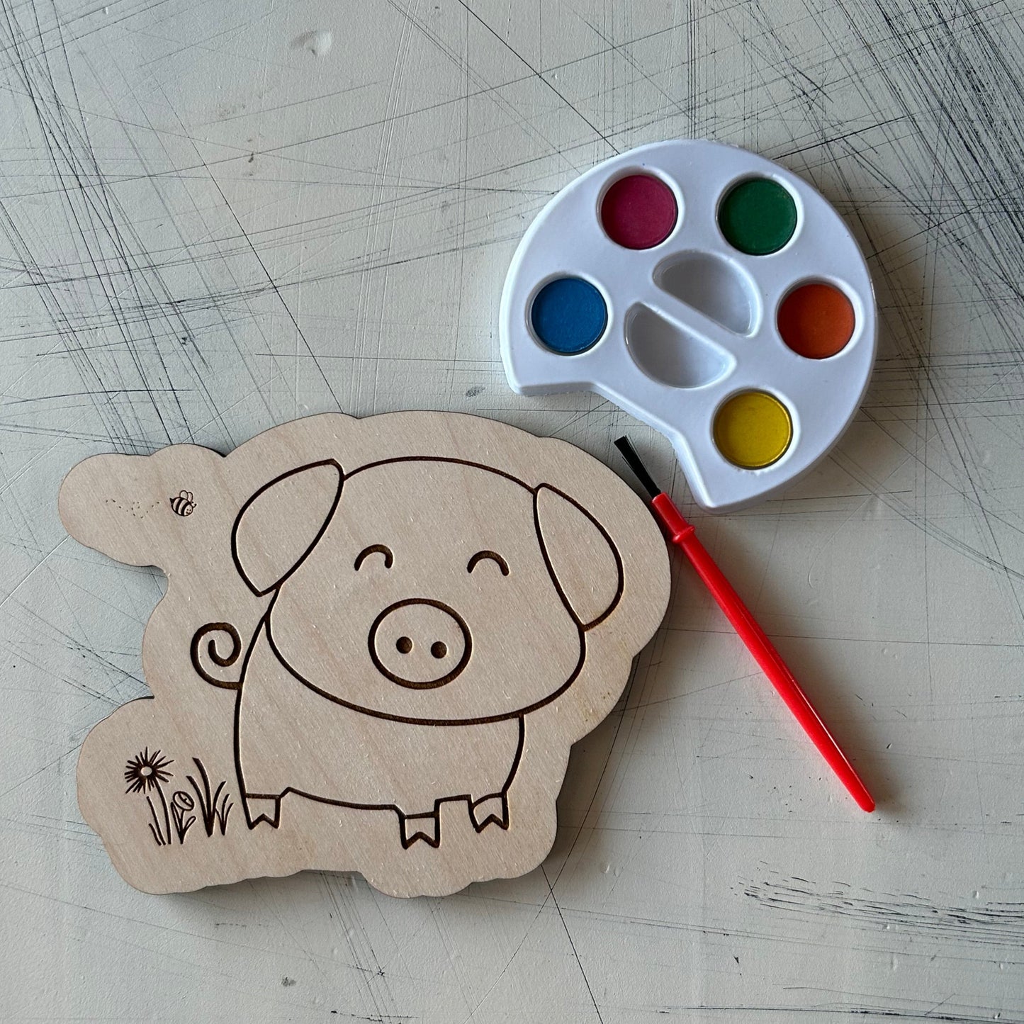 Pig Watercolor Craft Kit by Novotny Designs